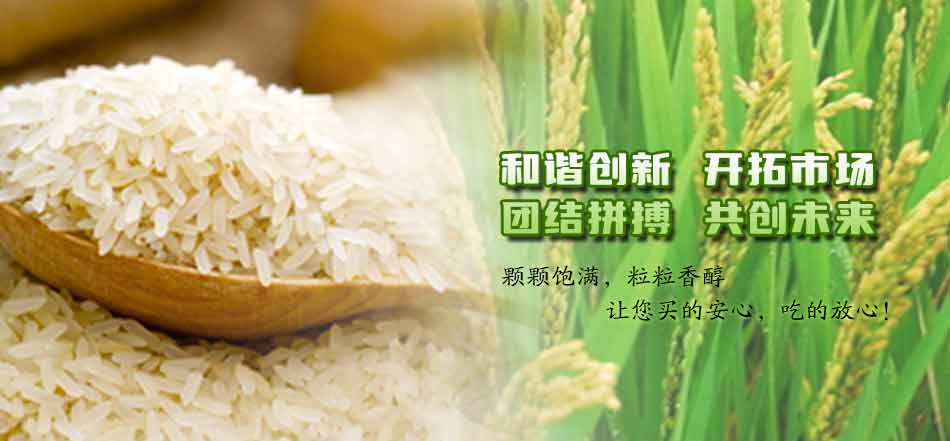 企业理念